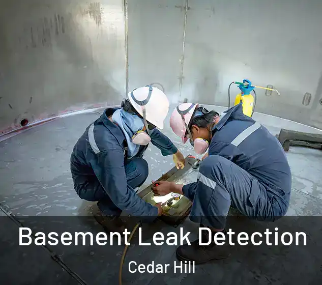  Basement Leak Detection Cedar Hill