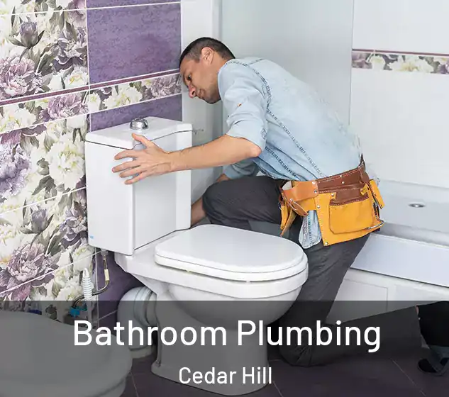  Bathroom Plumbing Cedar Hill
