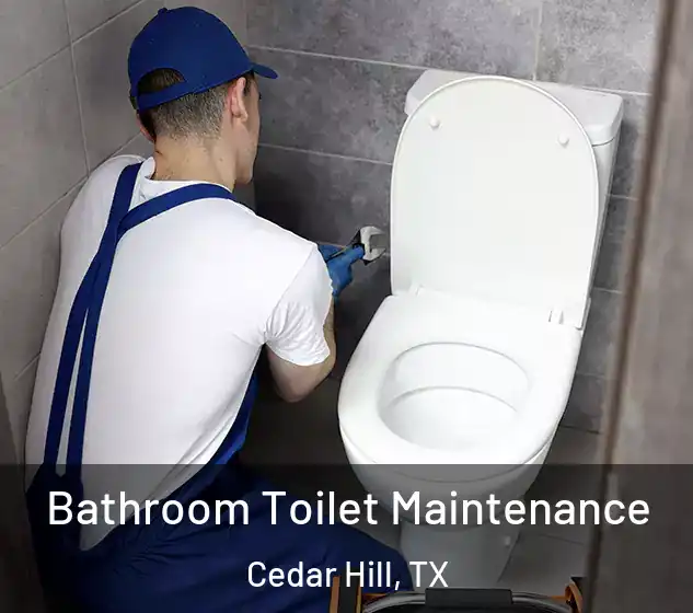  Bathroom Toilet Maintenance Cedar Hill, TX