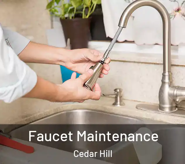  Faucet Maintenance Cedar Hill