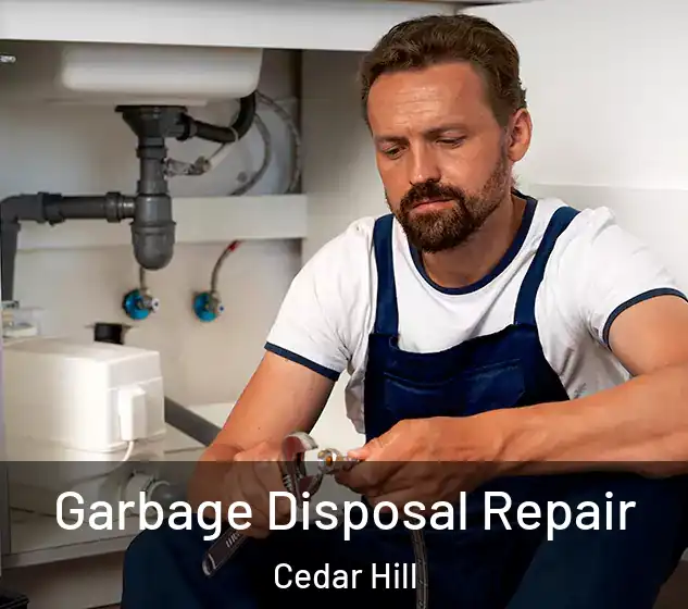  Garbage Disposal Repair Cedar Hill
