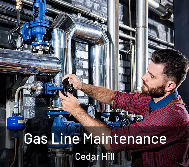  Gas Line Maintenance Cedar Hill
