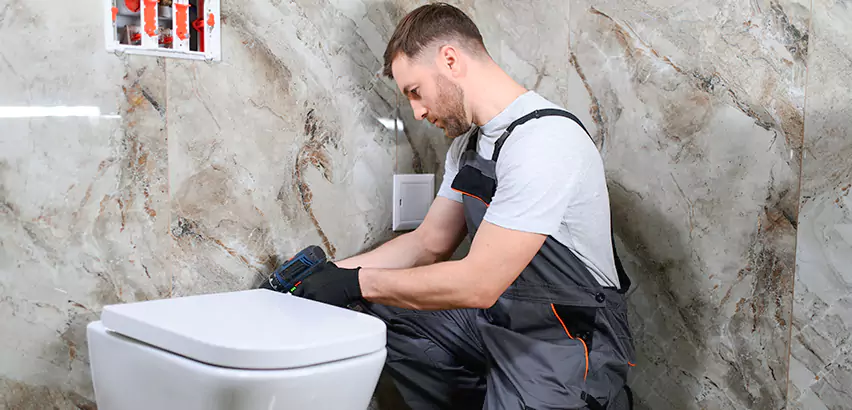 Scope of Bathroom Toilet Replacement Services in Cedar Hill, TX