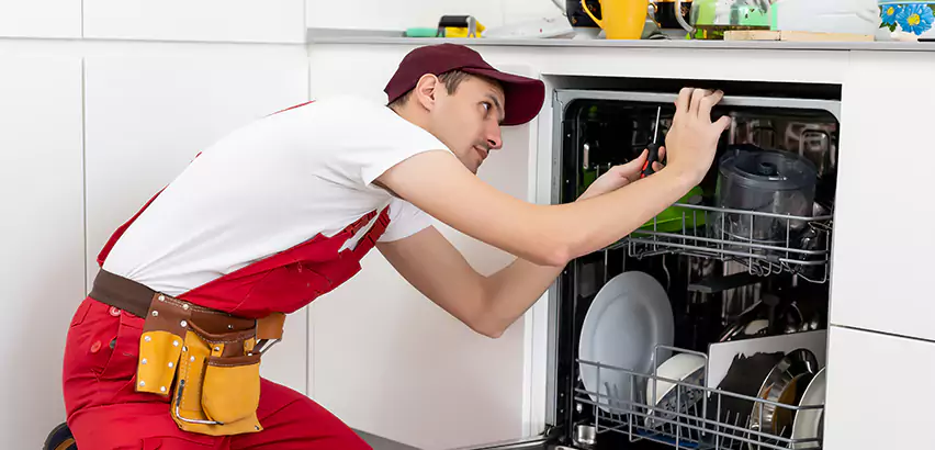 Scope of Kitchen Dishwasher Installation Services in Cedar Hill, TX