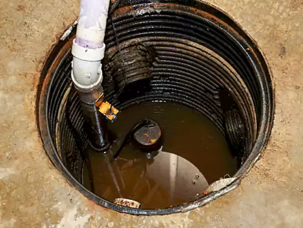Why Plumbing Repair Cedarhill is the First Choice for Sump Pump Maintenance Services in Cedar Hill, TX?