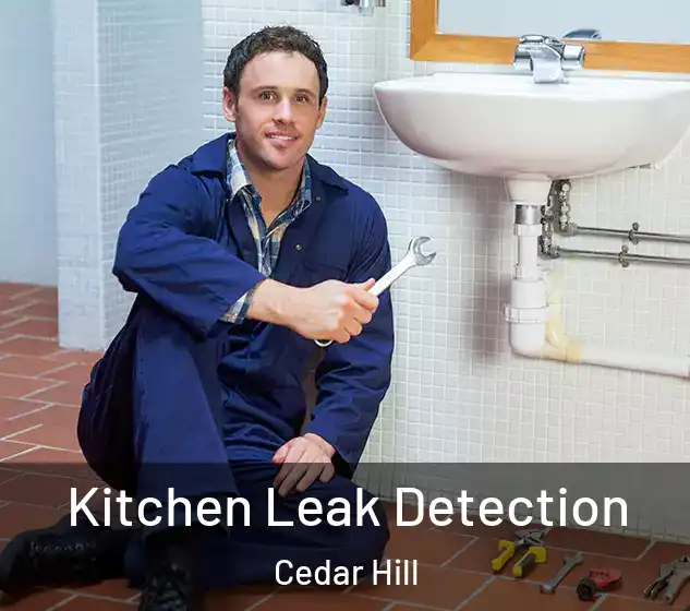  Kitchen Leak Detection Cedar Hill