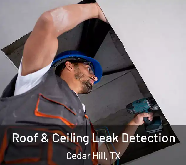  Roof & Ceiling Leak Detection Cedar Hill, TX