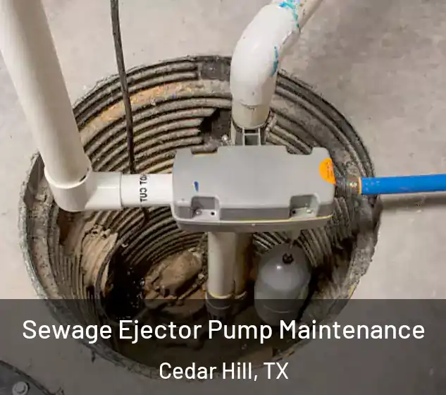  Sewage Ejector Pump Maintenance Cedar Hill, TX