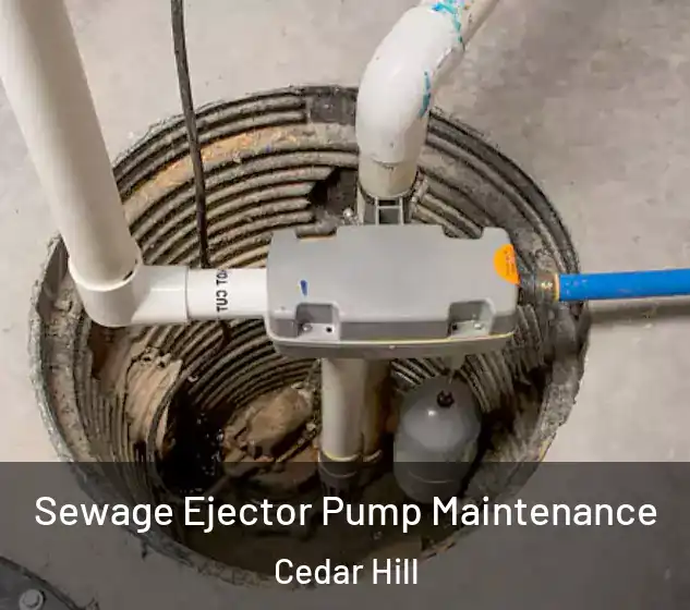  Sewage Ejector Pump Maintenance Cedar Hill