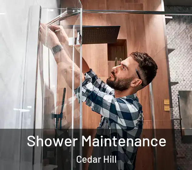  Shower Maintenance Cedar Hill