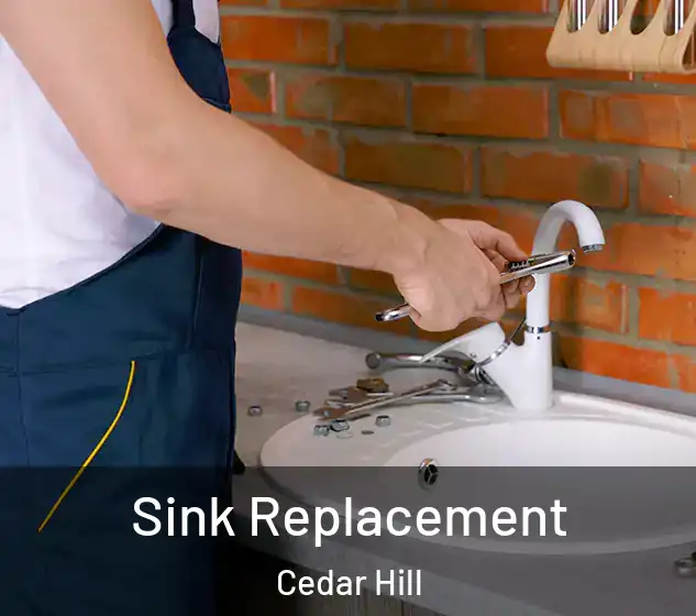  Sink Replacement Cedar Hill