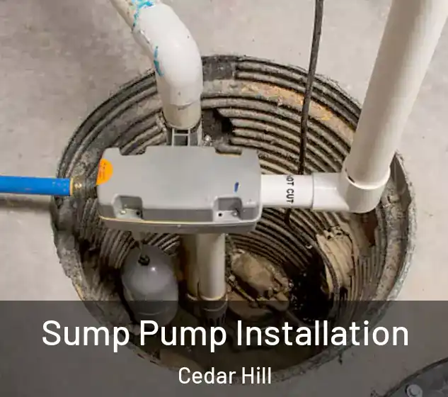  Sump Pump Installation Cedar Hill