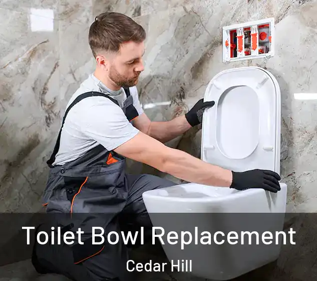  Toilet Bowl Replacement Cedar Hill