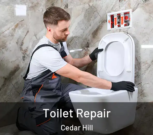  Toilet Repair Cedar Hill