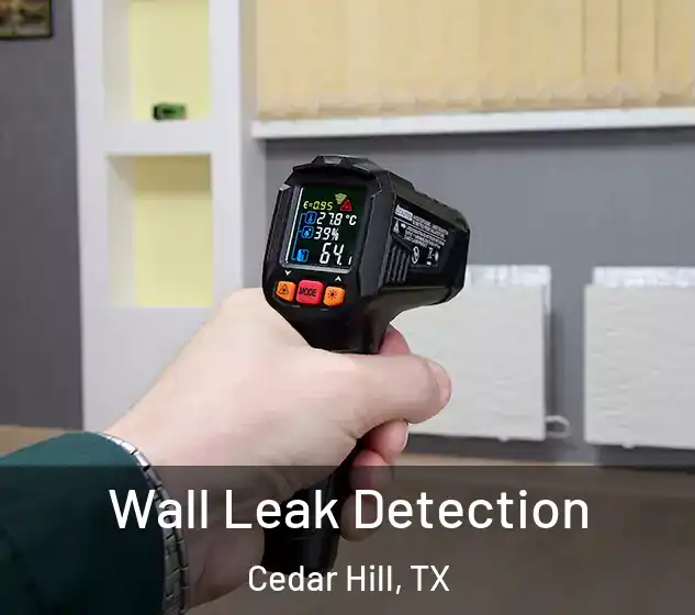  Wall Leak Detection Cedar Hill, TX