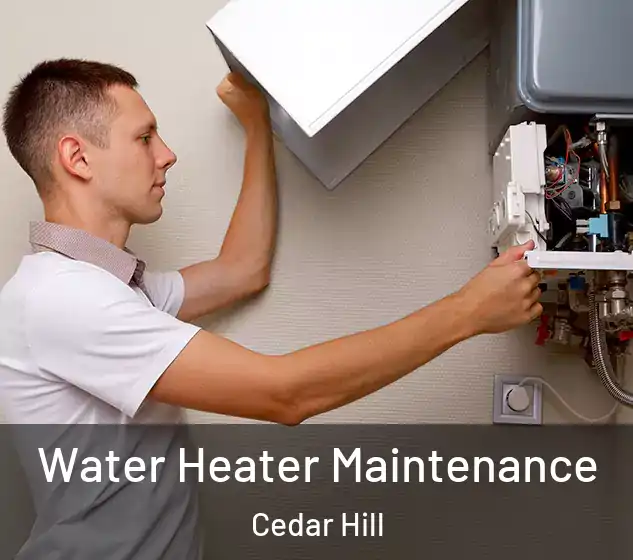  Water Heater Maintenance Cedar Hill