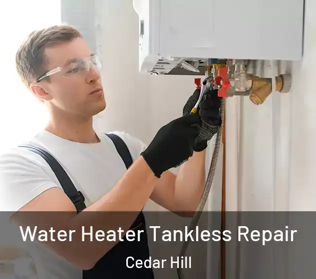  Water Heater Tankless Repair Cedar Hill