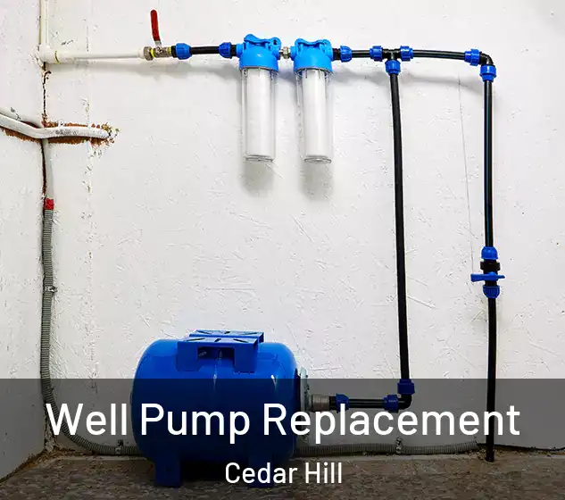  Well Pump Replacement Cedar Hill